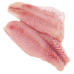Frozen Fish Fillet & Steaks